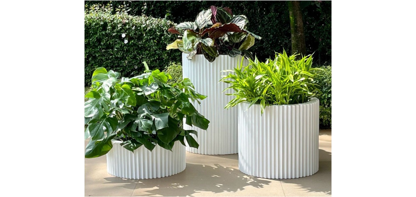 Foto Produto Vasos da Terra frise 1