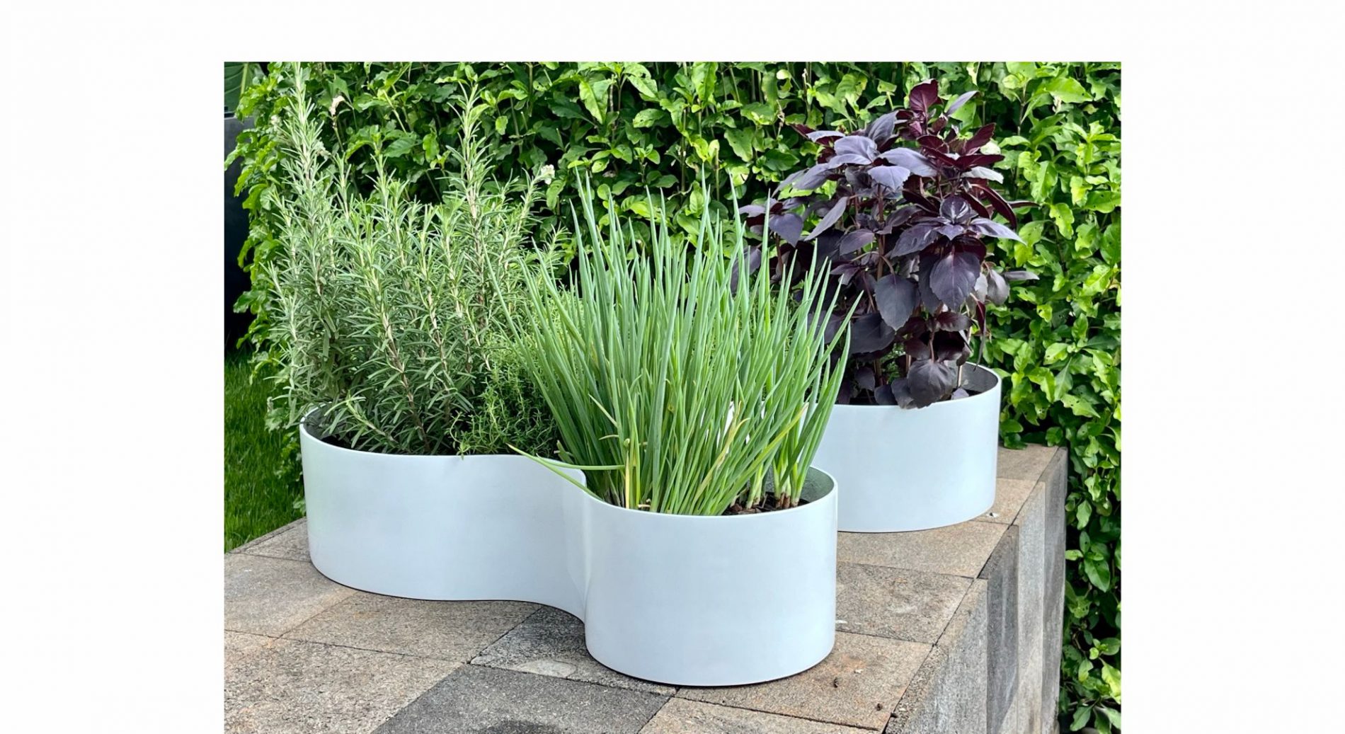 Foto Produto Vasos da Terra CURVAS