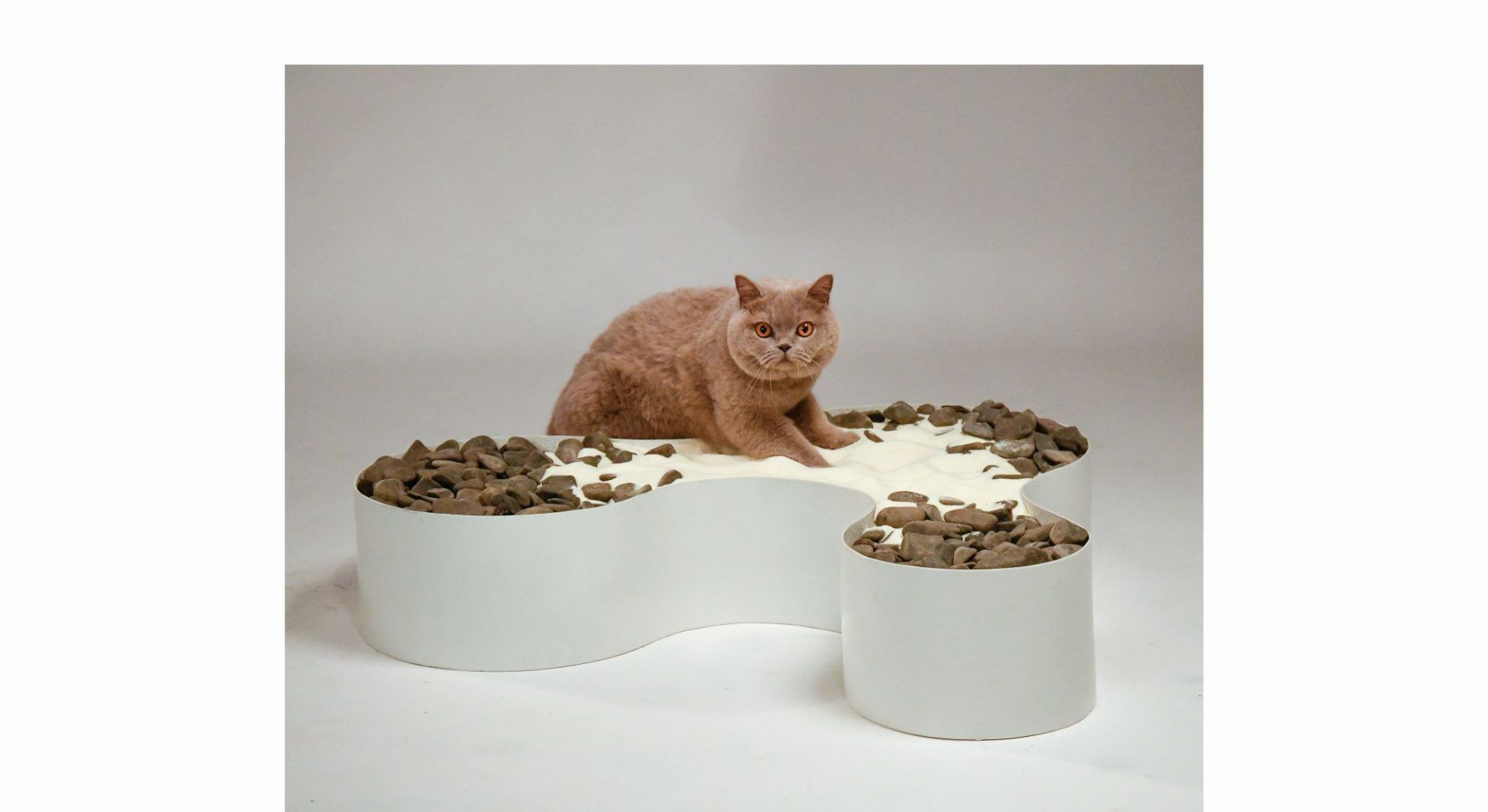 Foto Produto Vasos da Terra CURVAS