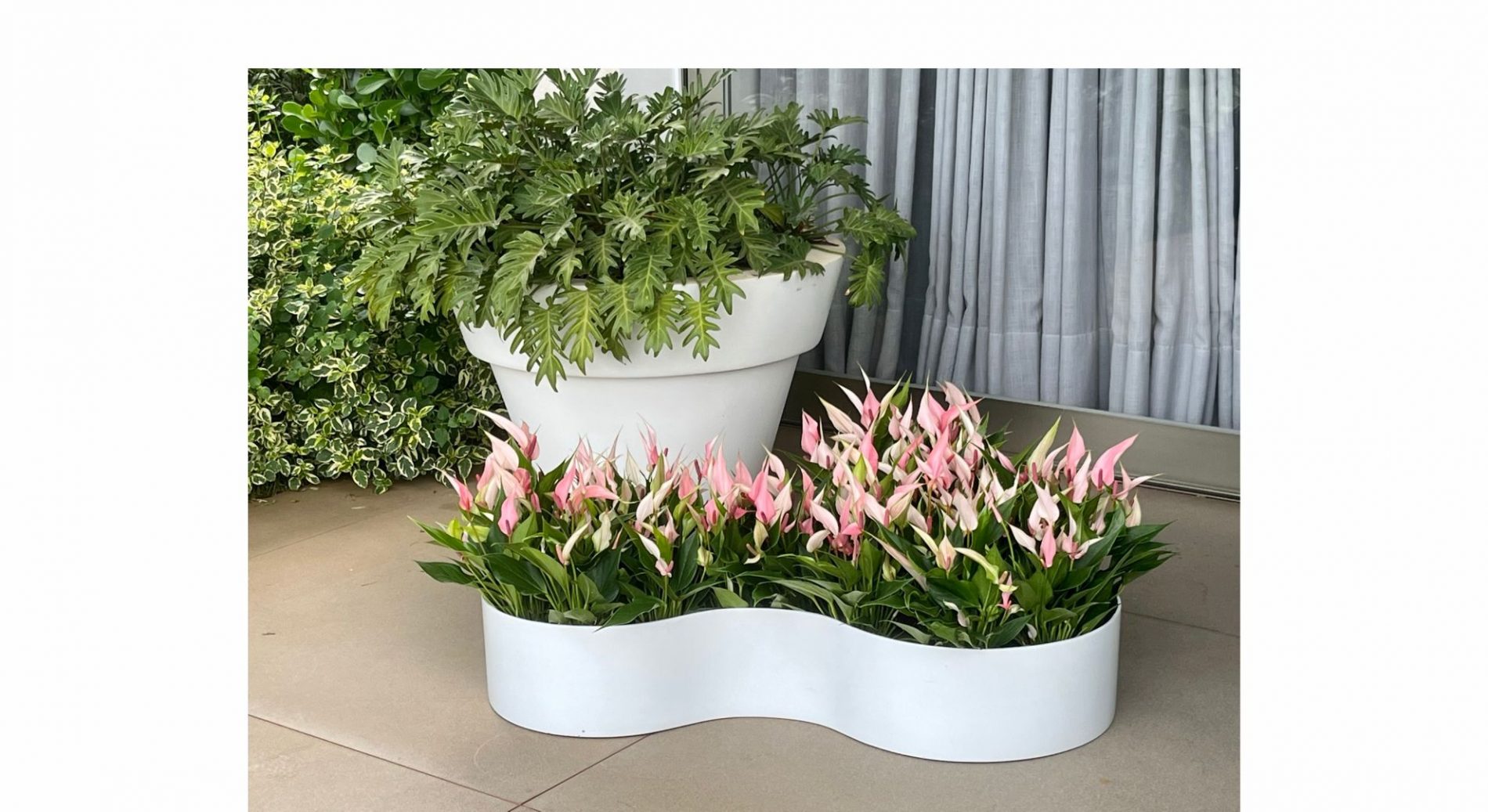 Foto Produto Vasos da Terra CURVAS